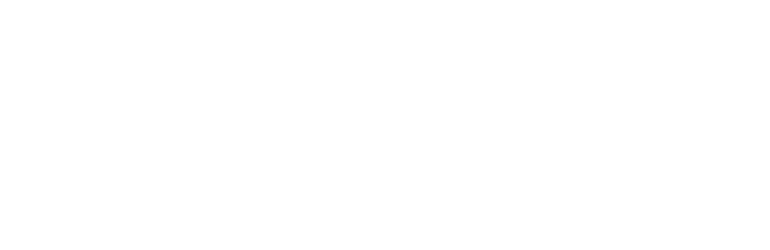 logo-generico-white